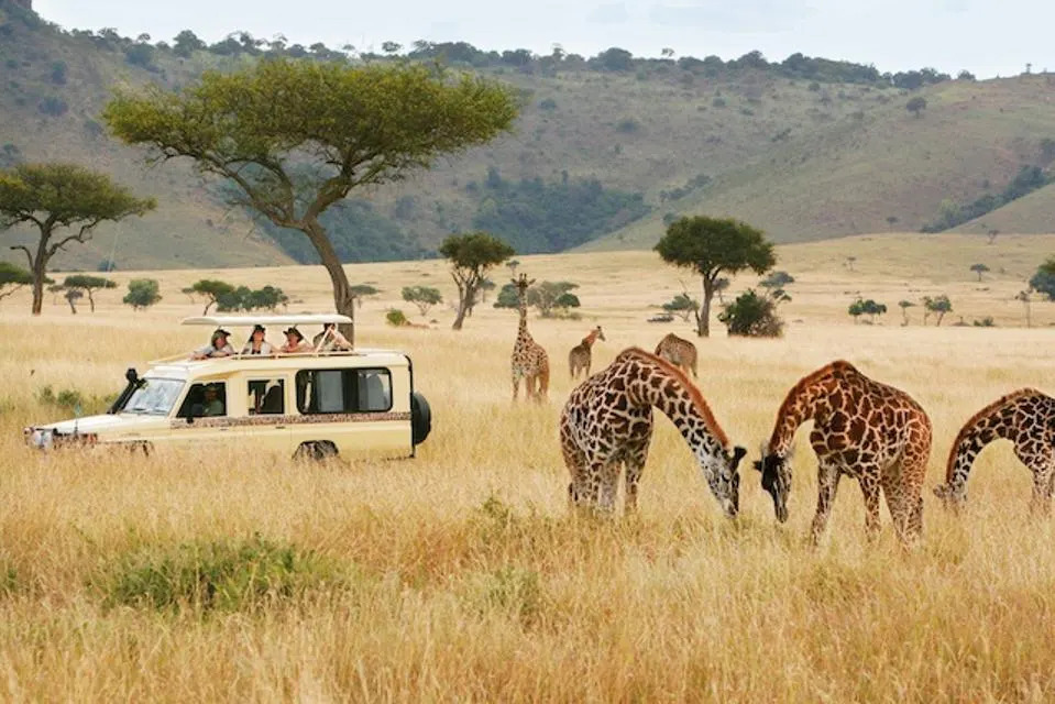 Image of African Golf Safari